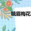 峨眉梅花草（關于峨眉梅花草簡介）