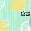 官楚印（關于官楚印介紹）