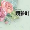 峨參葉蒿（關于峨參葉蒿簡介）