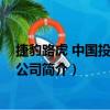 捷豹路虎 中國投資有限公司（關于捷豹路虎 中國投資有限公司簡介）
