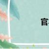 官本（關于官本介紹）