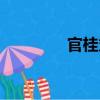 官桂丸（關于官桂丸介紹）