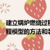 建立鍋爐燃燒過程模型的方法和裝置（關于建立鍋爐燃燒過程模型的方法和裝置介紹）