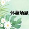 懷葛炳昆季（關于懷葛炳昆季介紹）