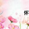 懷蓄（關于懷蓄介紹）