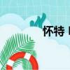 懷特 H.（關于懷特 H.介紹）
