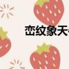 巒紋象天牛（關于巒紋象天牛簡介）