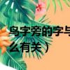 鳥字旁的字與什么有關（常見鳥字旁的字和什么有關）