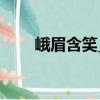 峨眉含笑_1（關于峨眉含笑_1簡介）
