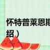 懷特普萊恩斯機場（關于懷特普萊恩斯機場介紹）