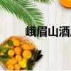 峨眉山酒店（關于峨眉山酒店簡介）