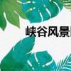 峽谷風景區（關于峽谷風景區簡介）