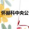 懷赫科中央公寓（關于懷赫科中央公寓介紹）