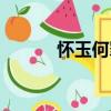 懷玉何罪（關于懷玉何罪介紹）