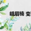 峨眉楠 變種（關于峨眉楠 變種簡介）