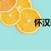 懷漢新（關于懷漢新介紹）