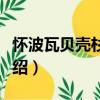 懷波瓦貝殼杉森林（關于懷波瓦貝殼杉森林介紹）