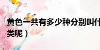 黃色一共有多少種分別叫什么(黃色有多少種類呢)