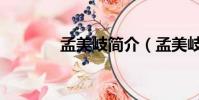 孟美岐簡介(孟美岐的資料)