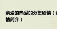 親愛的熱愛的分集劇情(親愛的熱愛1-41劇情簡介)