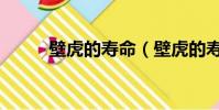 壁虎的壽命(壁虎的壽命是什么)