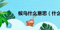 候鳥什么意思(什么是候鳥)