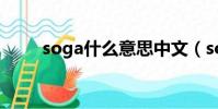 soga什么意思中文(soga的解釋)