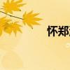 懷鄭洎（關于懷鄭洎介紹）