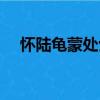 懷陸龜蒙處士（關于懷陸龜蒙處士介紹）