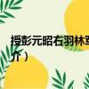 授彭元昭右羽林軍將軍制（關于授彭元昭右羽林軍將軍制簡介）