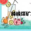 峰峰煤礦志（關于峰峰煤礦志簡介）
