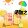 峭壁之巔（關于峭壁之巔簡介）