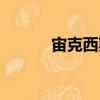 宙克西斯（關于宙克西斯介紹）