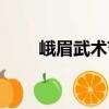 峨眉武術節（關于峨眉武術節簡介）