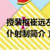授裴樞崔遠左右仆射制（關于授裴樞崔遠左右仆射制簡介）