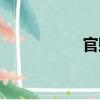 官賊（關于官賊介紹）