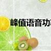 峰值語音功率（關于峰值語音功率簡介）