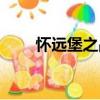 懷遠堡之戰（關于懷遠堡之戰介紹）