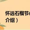 懷遠石榴節(2015)（關于懷遠石榴節(2015)介紹）