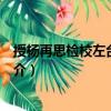 授楊再思檢校左臺大夫制（關于授楊再思檢校左臺大夫制簡介）