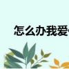 怎么辦我愛你（關于怎么辦我愛你介紹）