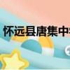 懷遠縣唐集中學（關于懷遠縣唐集中學介紹）