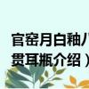 官窯月白釉八棱貫耳瓶（關于官窯月白釉八棱貫耳瓶介紹）