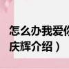 怎么辦我愛你·殷慶輝（關于怎么辦我愛你·殷慶輝介紹）