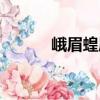 峨眉蝗屬（關于峨眉蝗屬簡介）