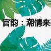 官韻：潮情來襲（關于官韻：潮情來襲介紹）