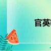 官英敏（關于官英敏介紹）