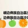 峨邊彝族自治縣沙坪鎮順河社區委員會志愿服務隊（關于峨邊彝族自治縣沙坪鎮順河社區委員會志愿服務隊簡介）