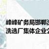 峰峰礦務局邯鄲洗選廠集體企業公司（關于峰峰礦務局邯鄲洗選廠集體企業公司簡介）