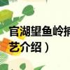官湖望魚嶺捕魚技藝（關于官湖望魚嶺捕魚技藝介紹）